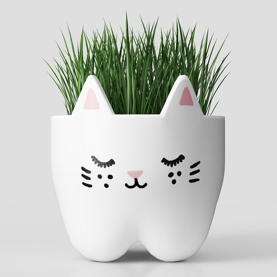 decorazione in vaso di fiori piante erba