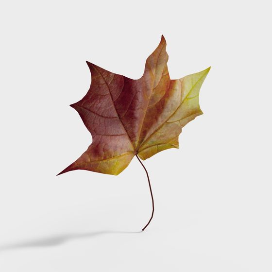 Low-Poly Autumn Maple Leaf 3D model