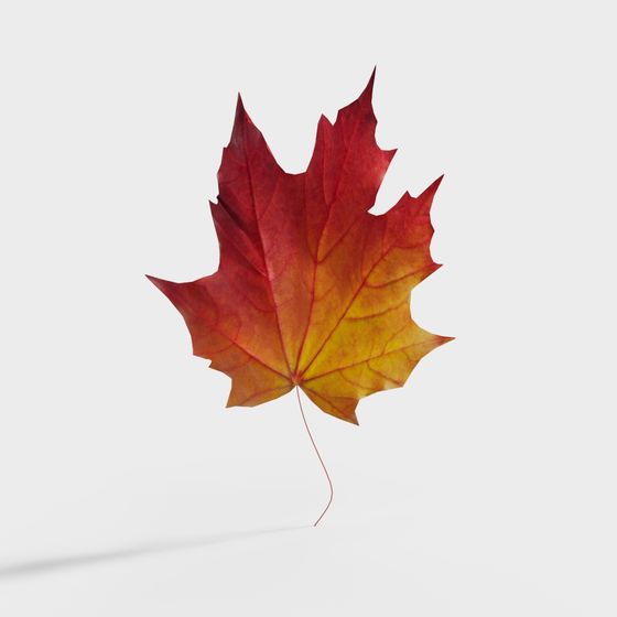Autumn Leaf 3D model - Realistic Low Poly Design