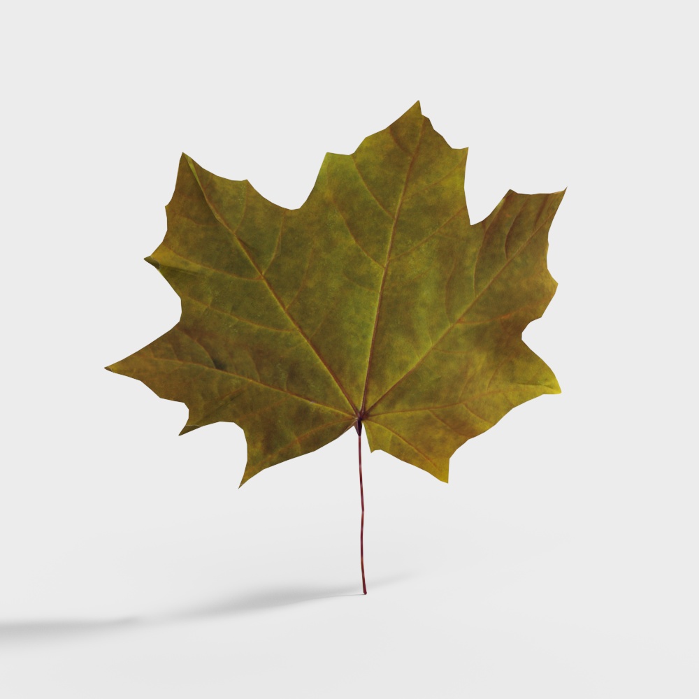 flowers outdoor plants grass decoration