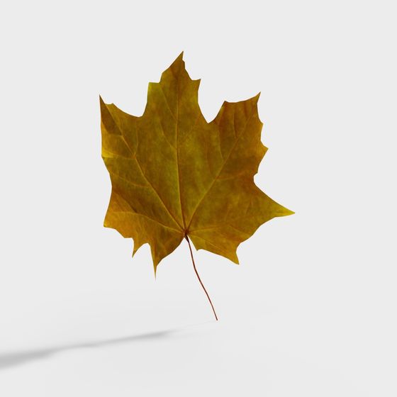 Autumn Leaf 3D model with Low Polygon Design