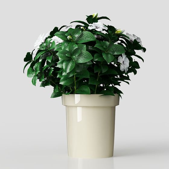 꽃 식물 풀 화분 장식