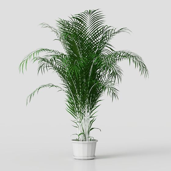 Realistic Indoor Plant 3D model