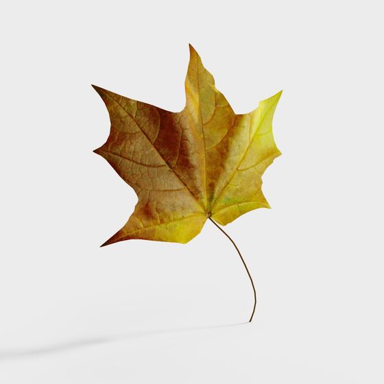 Realistic Low-Poly Maple Leaf 3D Model