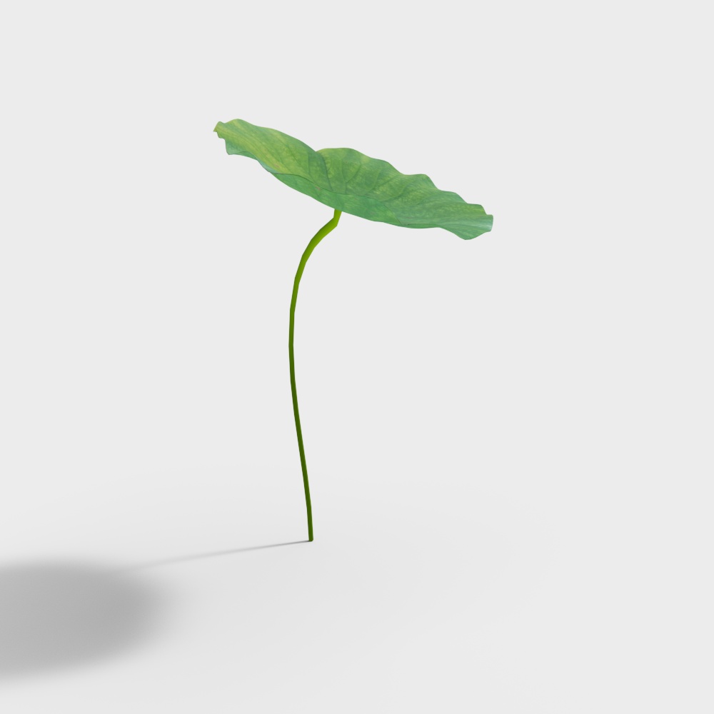 Lotus Stem 3D model with Realistic Detail