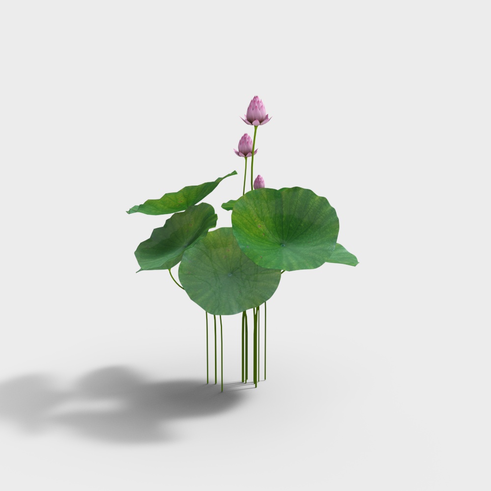 flower plant grass potted decoration