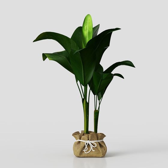 decorazione in vaso di fiori piante erba