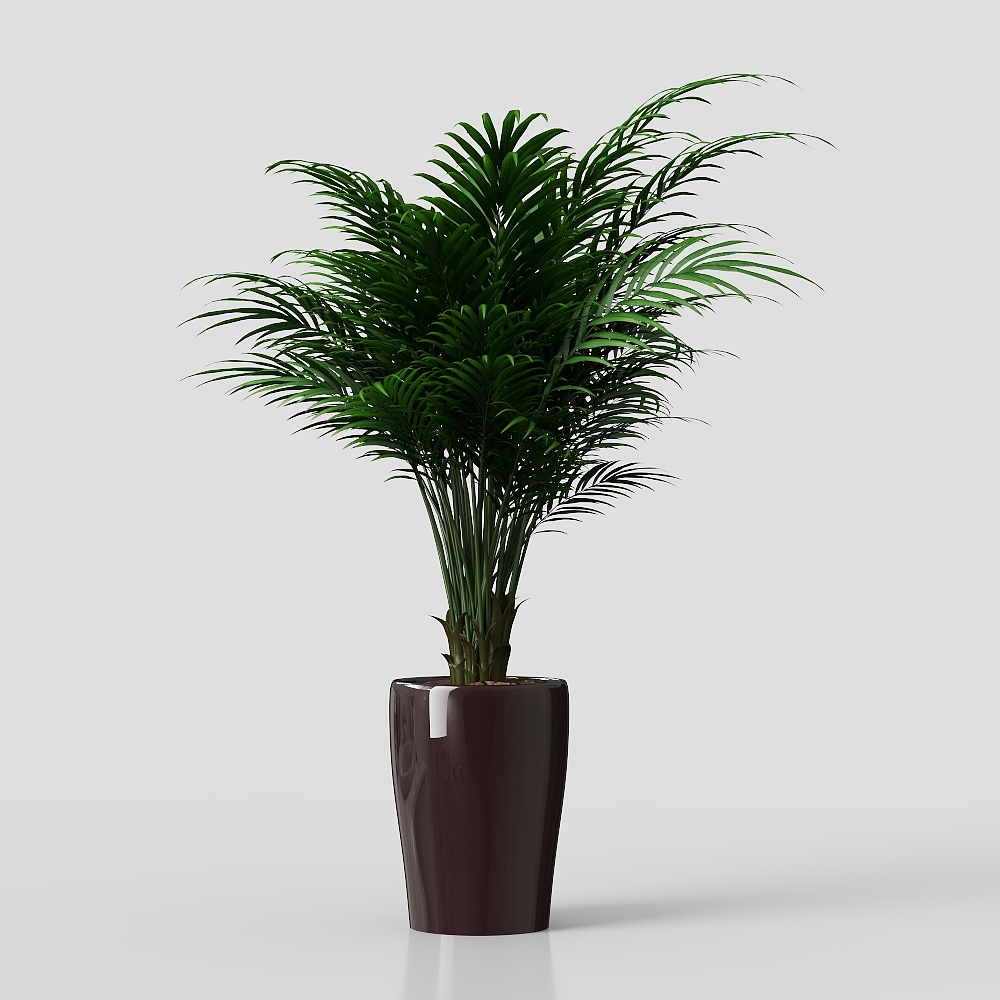 decorazione in vaso di fiori piante erba