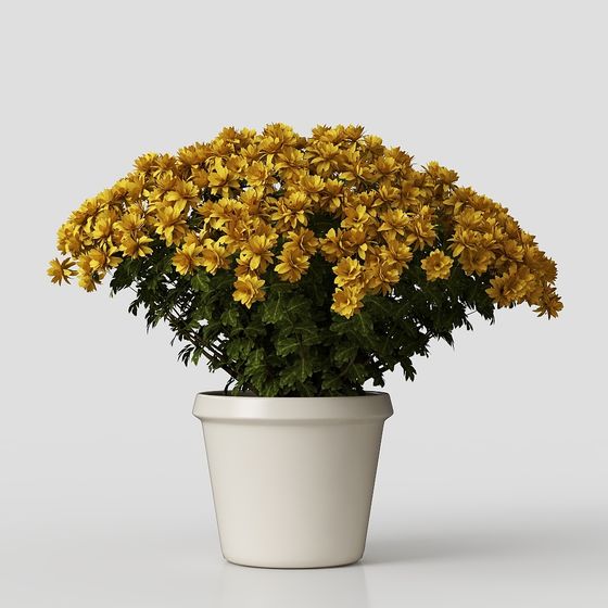 decorazione in vaso di fiori piante erba