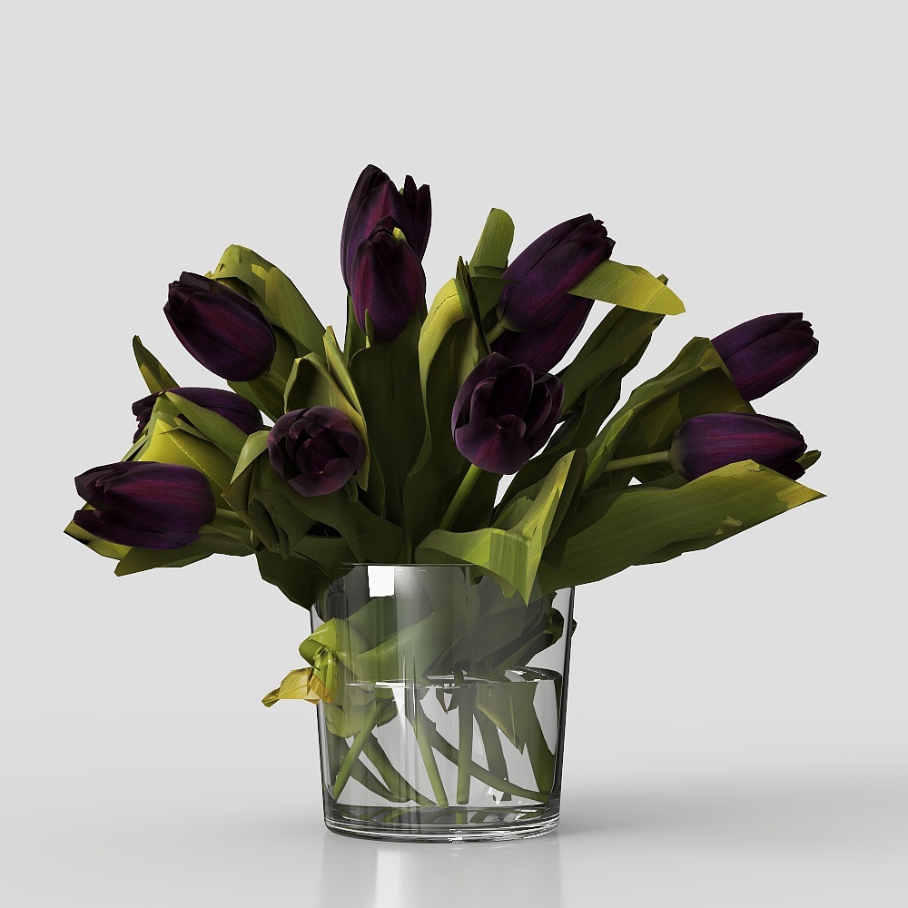 decorazione in vaso di fiori piante erba