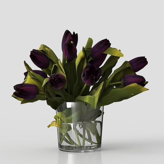 decorazione in vaso di fiori piante erba