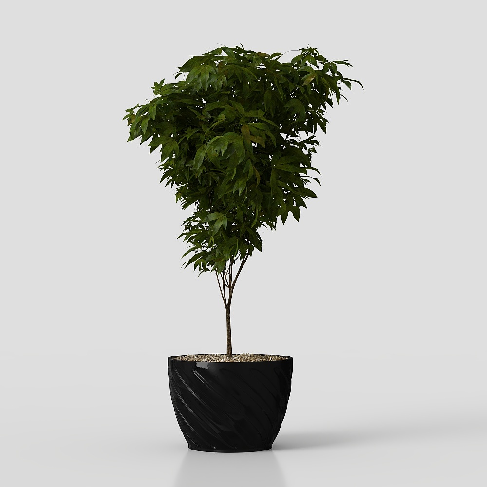 flower plant grass potted decoration