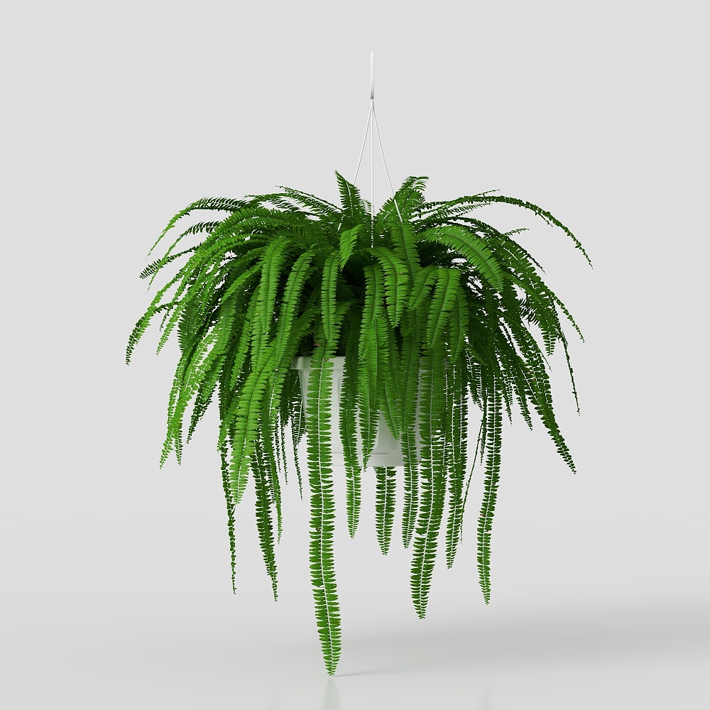 flower plant grass potted decoration