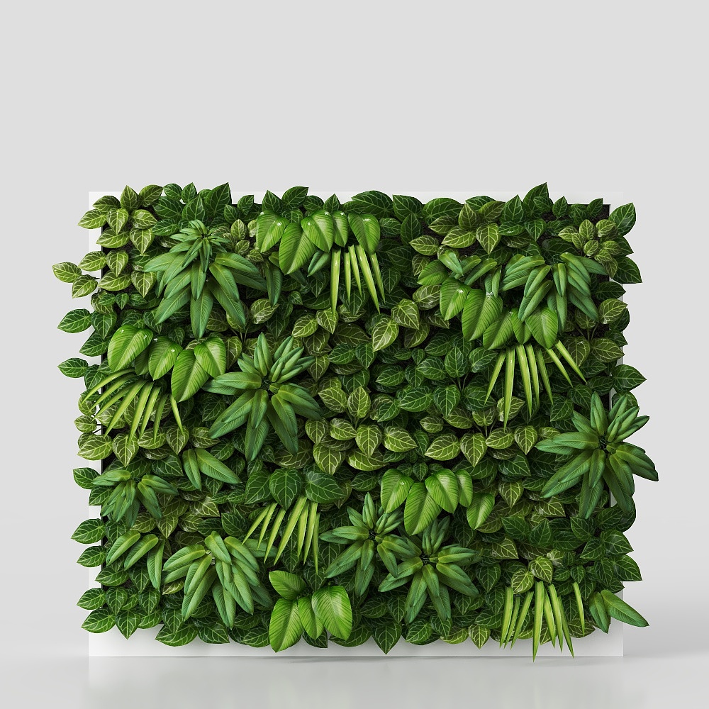 decorazione di parete con piante e fiori