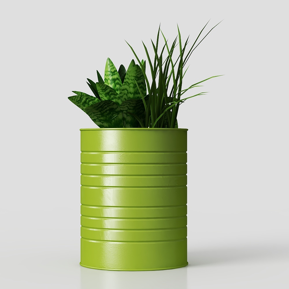 green potted plant flower grass