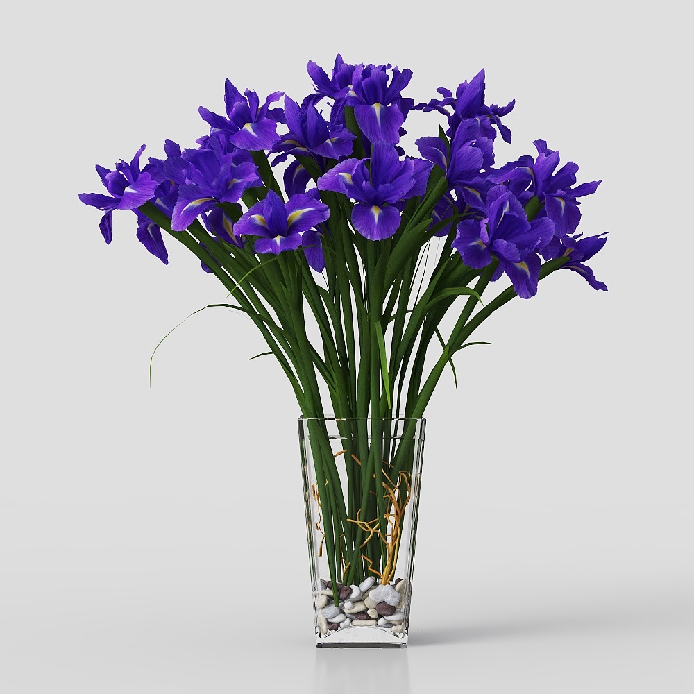 green potted plant flower grass