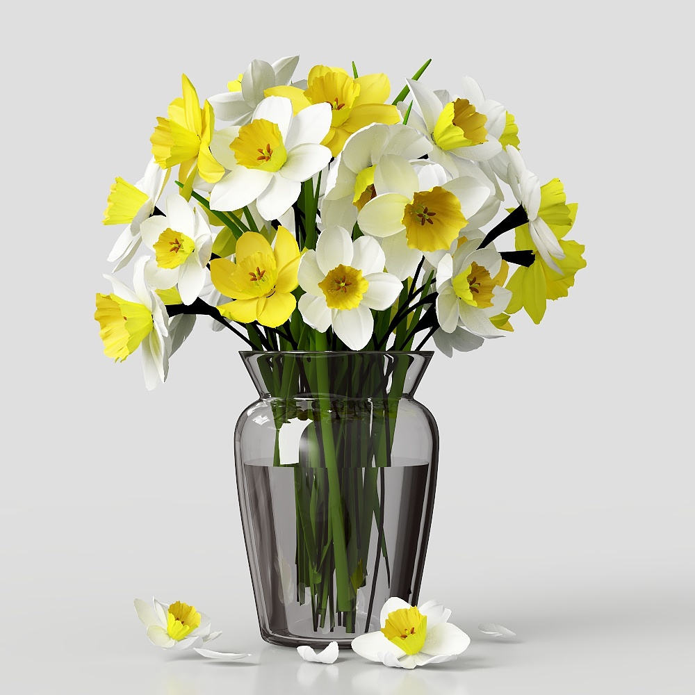 green potted plant flower grass