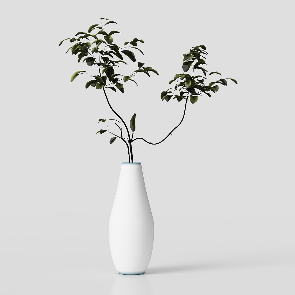 녹색 화분 식물 꽃 풀