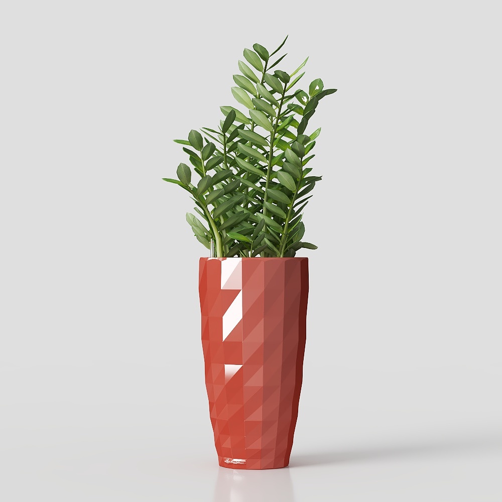 green potted plant flower grass