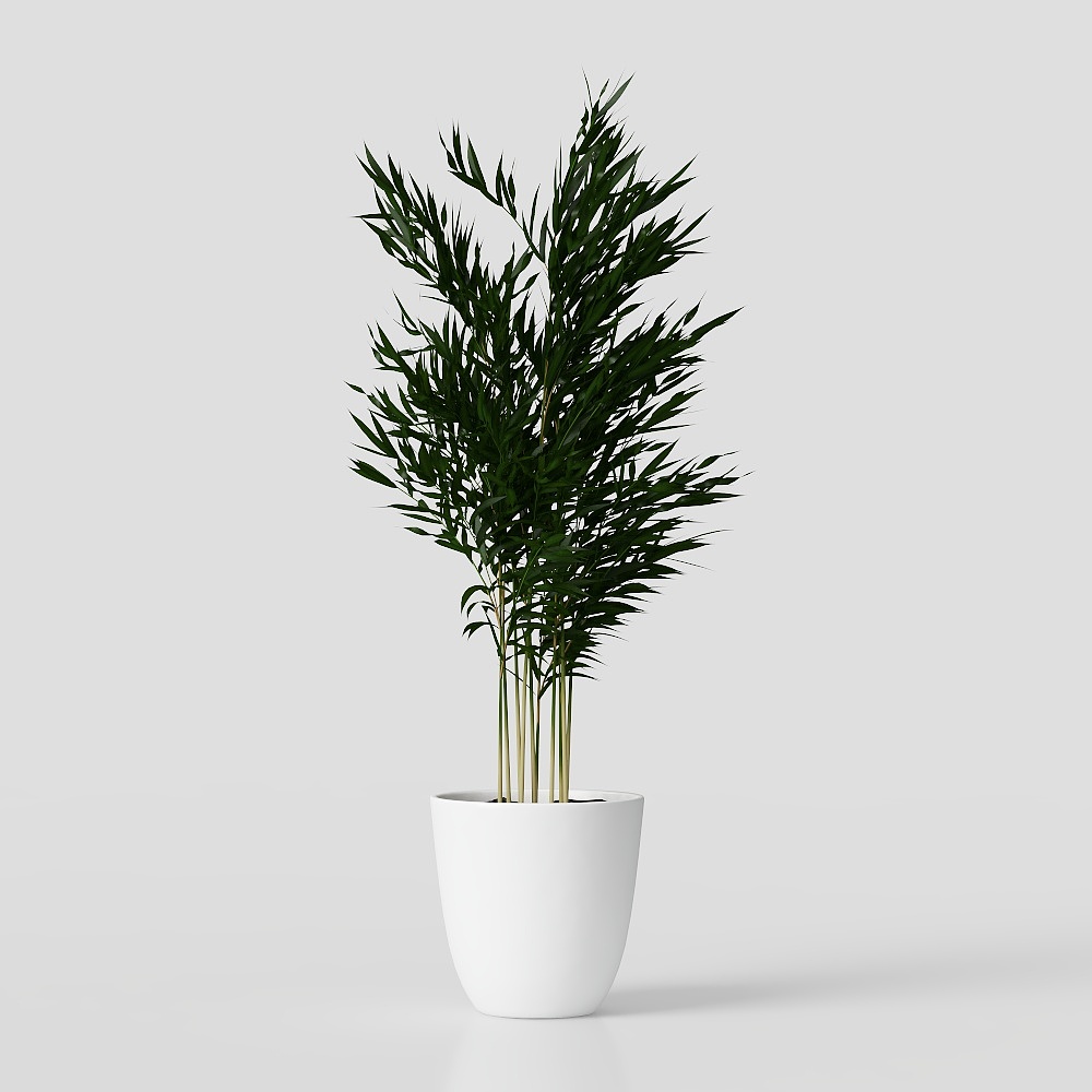 green plant flower leaf grass potted vase