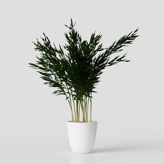 Bamboo Forest Vitality 3D model for Creative Spaces