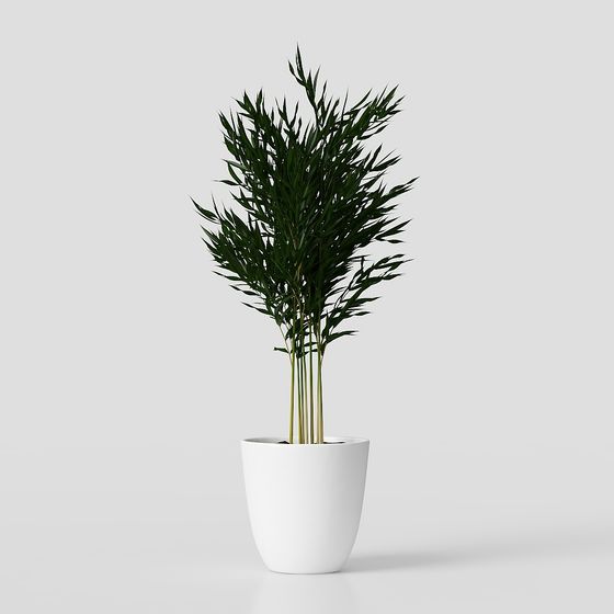 Vibrant Bamboo Plant 3D Model for Creative Projects