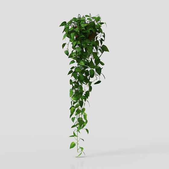Hanging Green Plant 3D Model for Designers