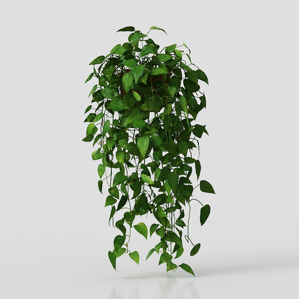 vaso ornamentale con piante verdi, fiori e foglie