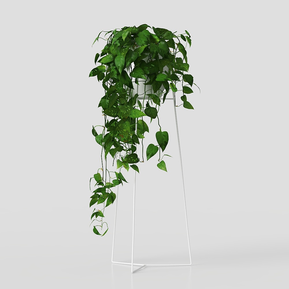 green plant flower leaf grass potted vase