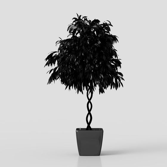Black Shadow Plant 3D model for Creative Projects