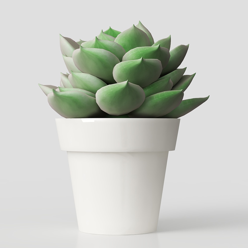 vaso ornamentale con piante verdi, fiori e foglie