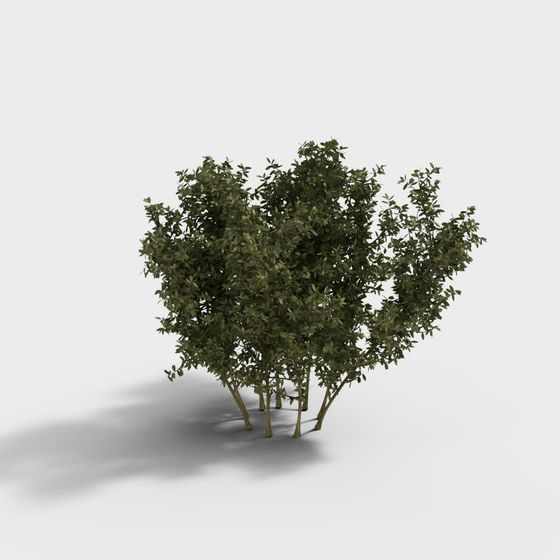 Forest Spirit Low-Poly 3D Model for Creative Projects