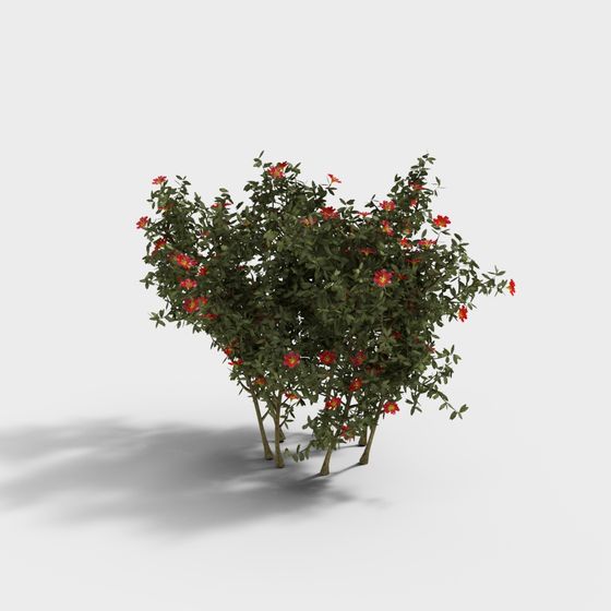 Vibrant Flowering Shrub 3D model