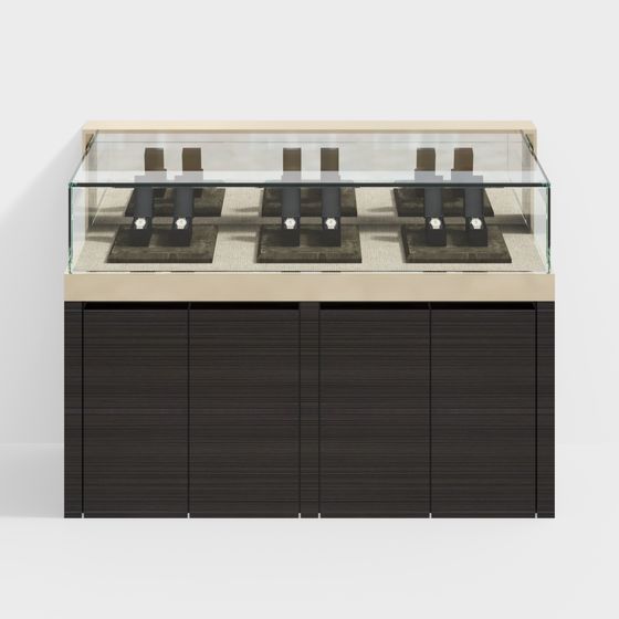 Sleek Glass Jewelry Display Case 3D model