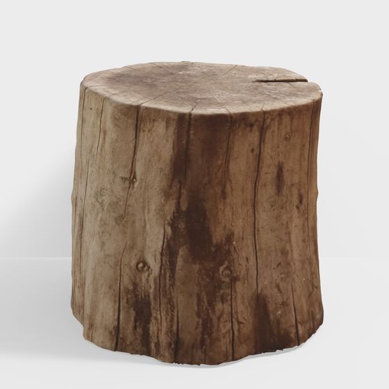 Natural Tree Stump 3D model