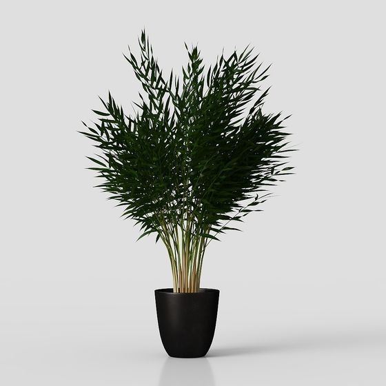 グリーン植物の花と草のポット花瓶