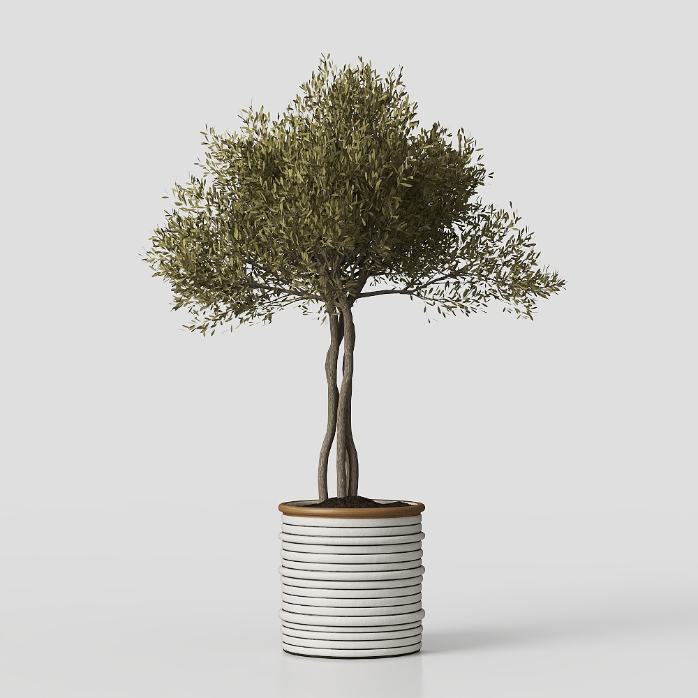 Modern minimalist living room green plants