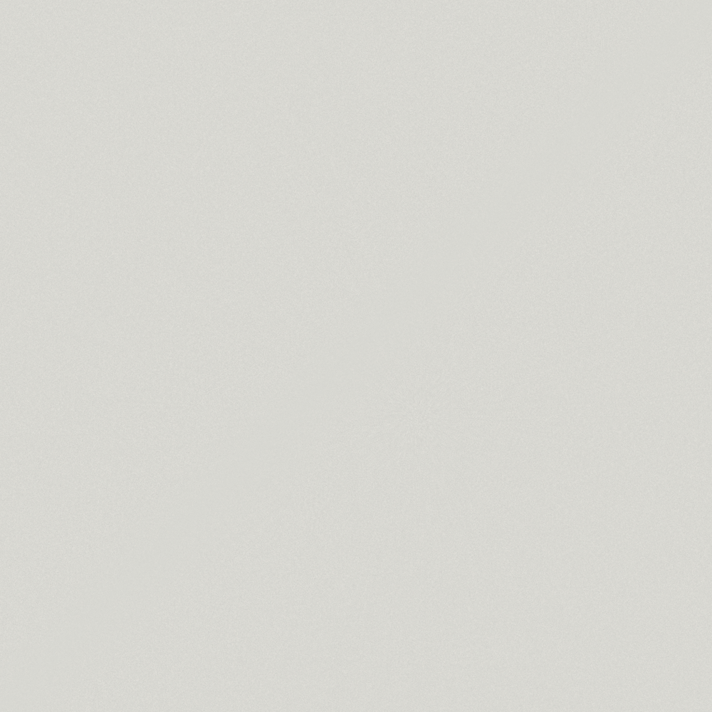 Snowflake plaster NN1351-4 designer main color