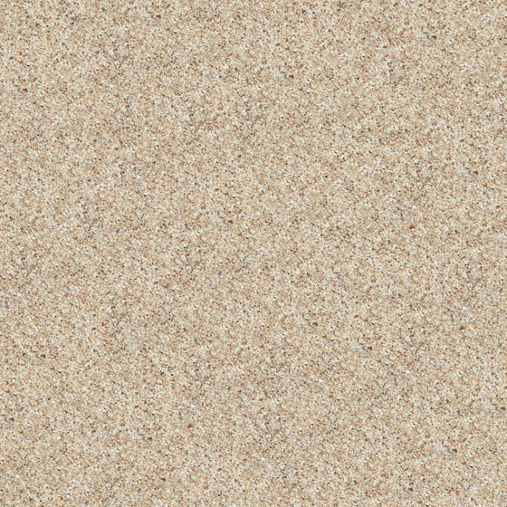 Wood Color Stone Paint 3D Model