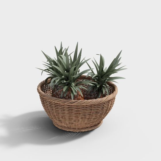 Woven Basket with Cactus 3D model for Creative Projects