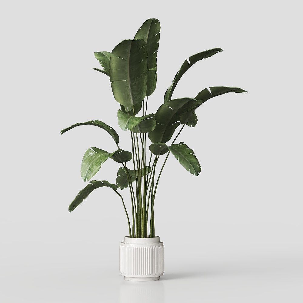 Exquisite Tropical Plant 3D Model – Low-Poly Indoor Decor