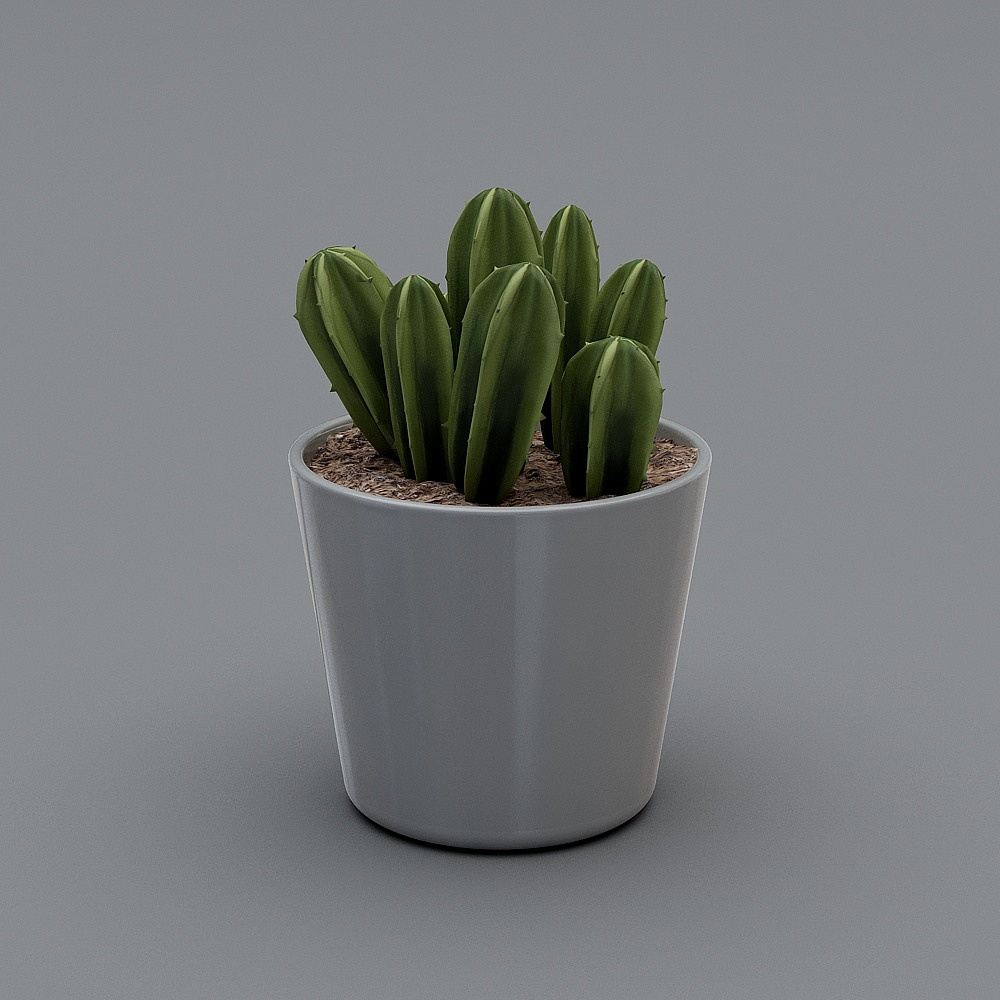 Adornos de pinturas decorativas