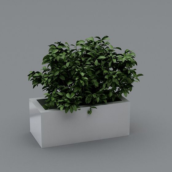 Urban Oasis 3D Model for Designers and Developers