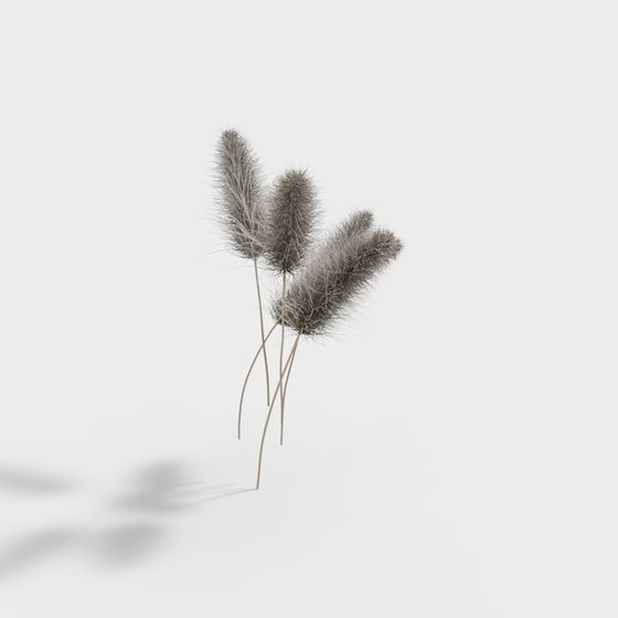 Realistic Feather Grass Low-Poly 3D model