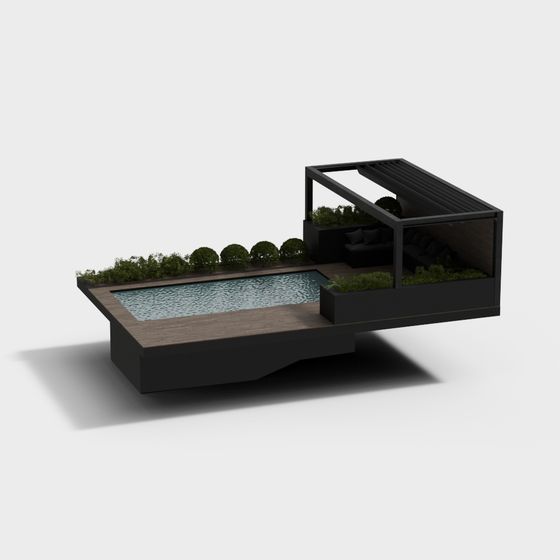 Terrace Swimming Pool