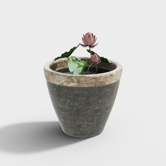 Lotus Potted Plant 3D model for Tranquil Spaces