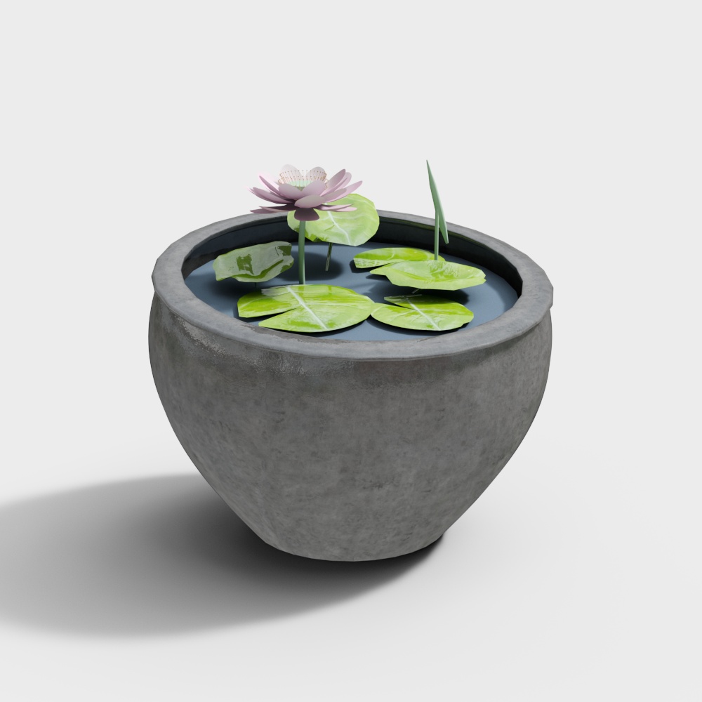 Water Lilies Bonsai 3D model