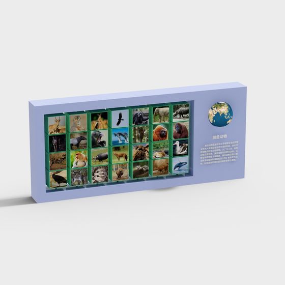 標本ディスプレイウォール