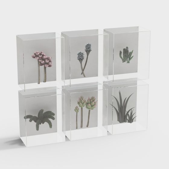 Plant Specimen Box 3D Model