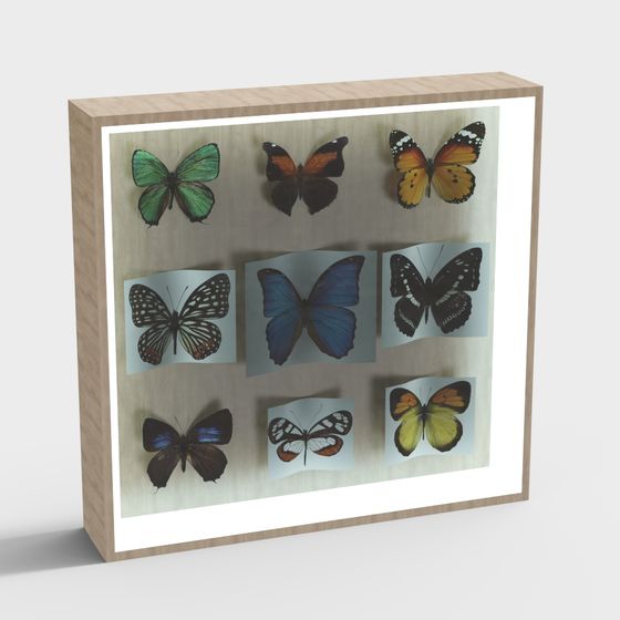 Charming Butterfly Specimen 3D Model